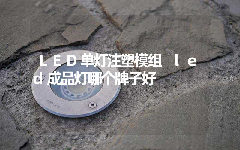 LED单灯注塑模组 led成品灯哪个牌子好